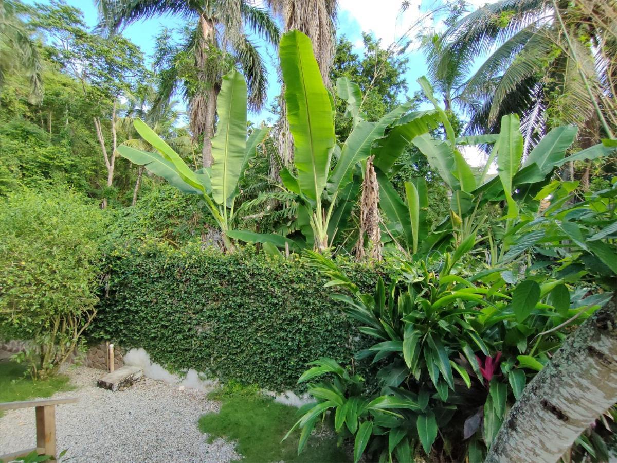 House Jardin Del Caribe Aparthotel Las Terrenas Exterior foto