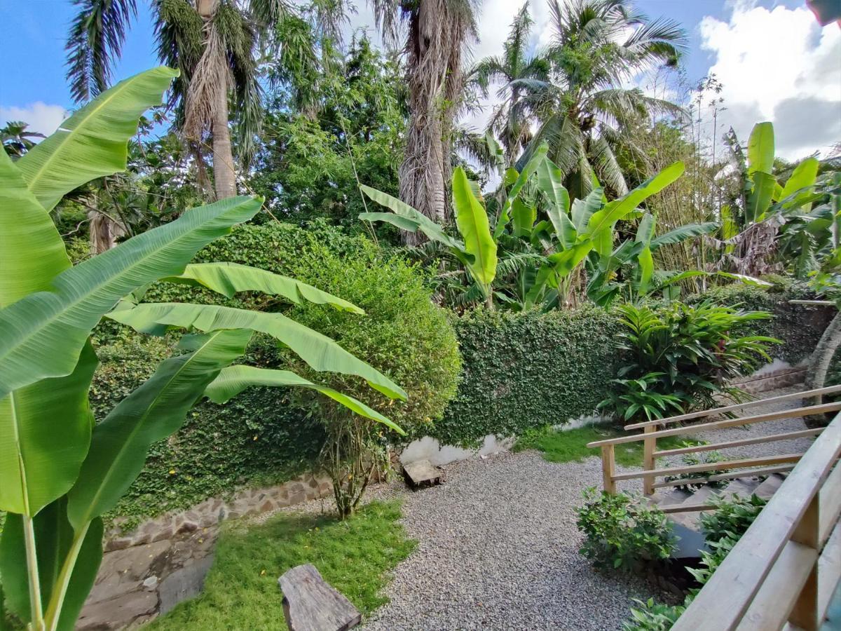 House Jardin Del Caribe Aparthotel Las Terrenas Exterior foto